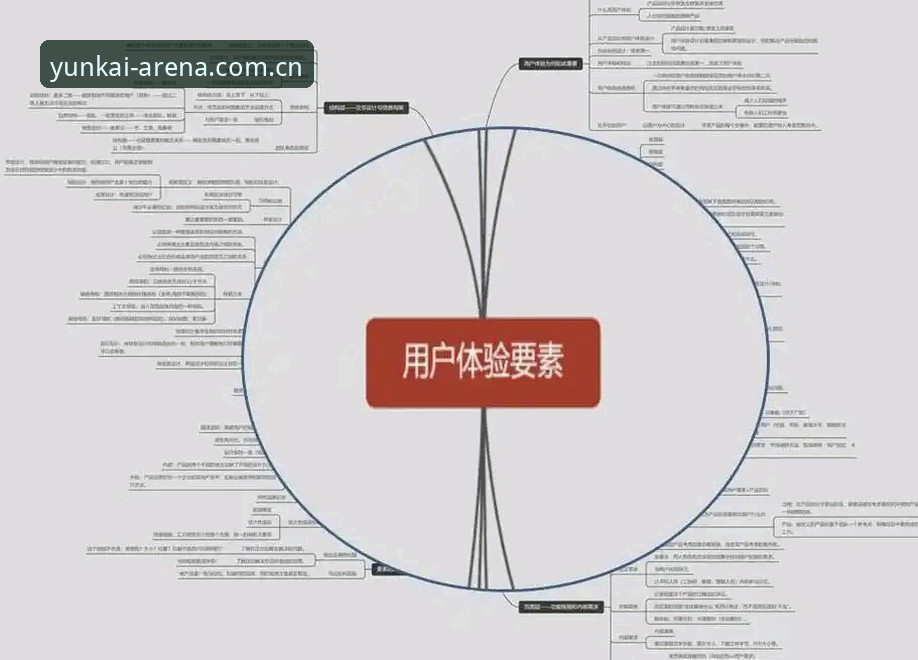 云开体育平台用户体验深度分析：从下载到流畅体验的全面解析