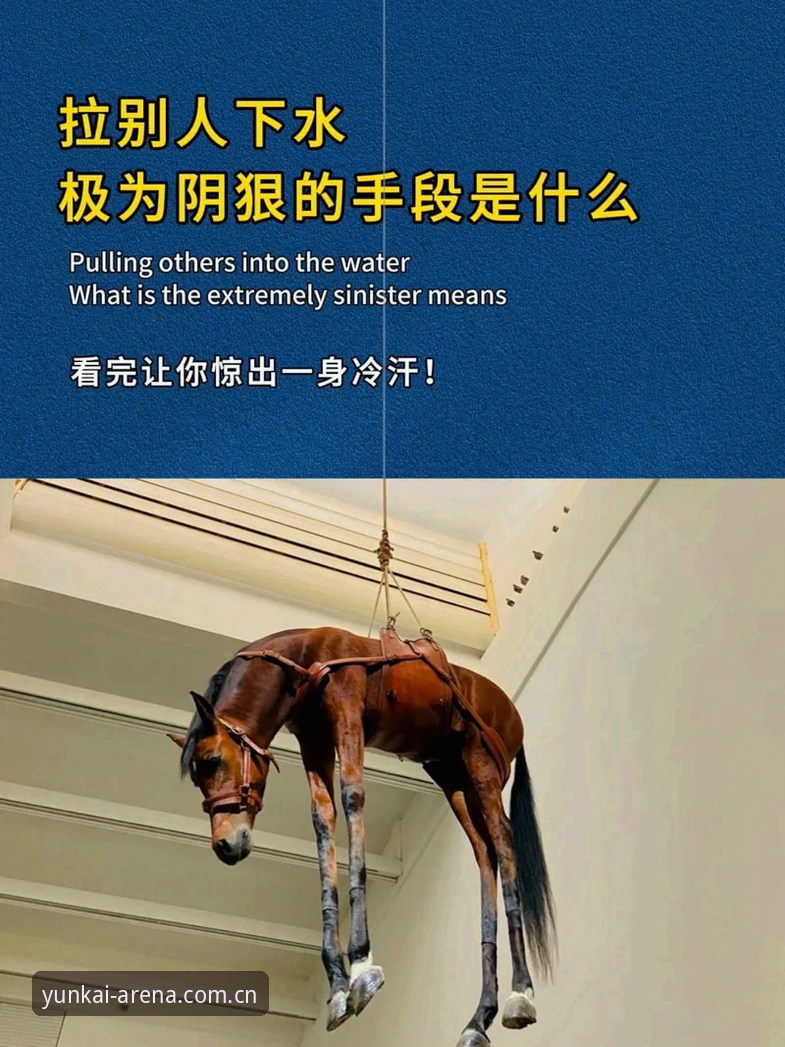 从贝纳蒂亚马赛总监经历，深度解析职业足球管理中的艰难抉择与人性博弈